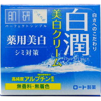 肌研(ハダラボ) 白潤 薬用美白クリーム(50g)